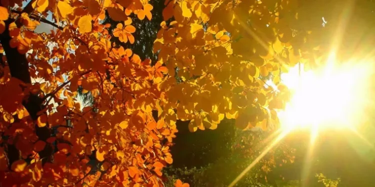 Sfârșitul lunii octombrie vine cu temperaturi crescute | Maxime de 25 de grade